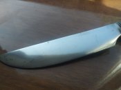 IMG_20200915_105828.jpg