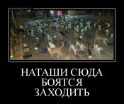 изображение_viber_2020-09-25_14-39-18.jpg