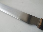 IMG_20200925_143854.jpg