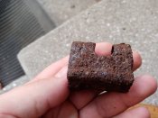 IMG_20200926_072418.jpg