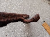 IMG_20200926_072339.jpg