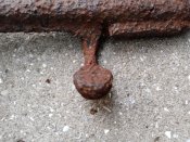 IMG_20200926_072336.jpg