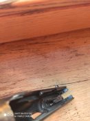 IMG_20200819_192942.jpg