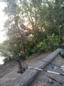 IMG_20200926_070820.jpg