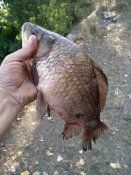 IMG_20200924_092835.jpg