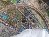 IMG_20200927_102644.jpg