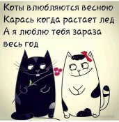 изображение_viber_2020-09-27_12-04-24.jpg