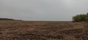 IMG_20200927_115916.jpg