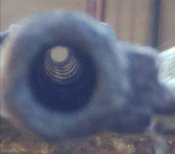 20200927_165721.jpg