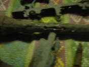 DSC03232.JPG