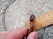 IMG_20200930_170920.jpg