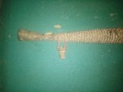 IMG_20201001_123129.jpg