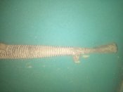 IMG_20201001_123052.jpg