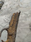 IMG_20201001_154812.jpg