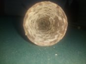 IMG_20201001_123251.jpg