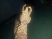 IMG_20201001_123237.jpg