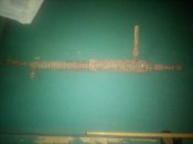IMG_20201001_123119.jpg