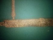 IMG_20201001_123044.jpg