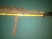 IMG_20201001_123028.jpg