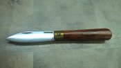 WP_20200930_19_19_39_Pro.jpg