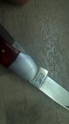 WP_20201002_14_00_27_Pro.jpg