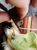 IMG_20201003_091425.jpg