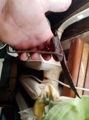 IMG_20201003_091433.jpg