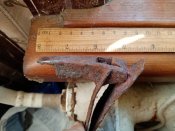 IMG_20201003_091354.jpg