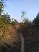 IMG_20201003_165157.jpg