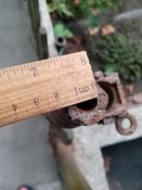 IMG_20201004_071050.jpg