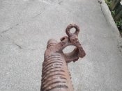 IMG_20201004_071029.jpg