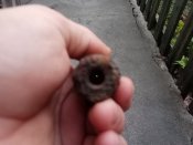 IMG_20201004_070941.jpg