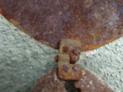 IMG_20200922_181452.jpg