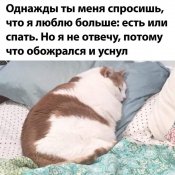 изображение_viber_2020-10-04_15-48-34.jpg