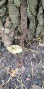IMG_20201004_151655.jpg
