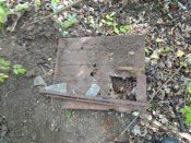 IMG_20201004_135639.jpg