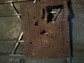 IMG_20201004_183310.jpg