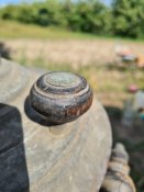 20201004_125654.jpg