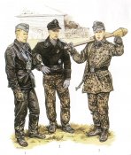 19443nl0.jpg