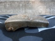 SDC13724.JPG