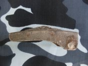 SDC13727.JPG