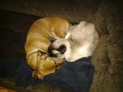 2013-03-13 04.16.35.jpg