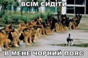 изображение_viber_2020-10-05_17-06-36.jpg