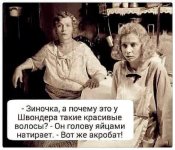 изображение_viber_2020-10-05_16-21-53.jpg