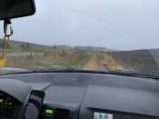 IMG_0003.jpeg