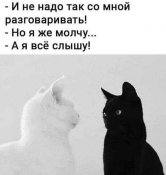 изображение_viber_2020-10-06_10-01-01.jpg