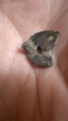 IMG_20201003_184207.jpg