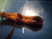 IMG_20201006_201107.jpg