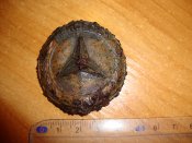 DSC08251.JPG