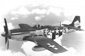 P-51-ZT.jpeg